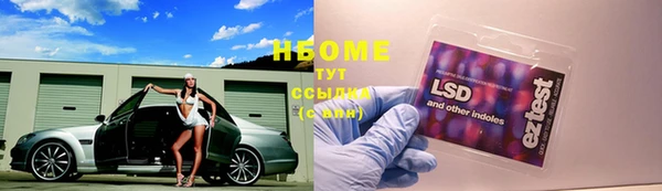прущие грибы Костерёво