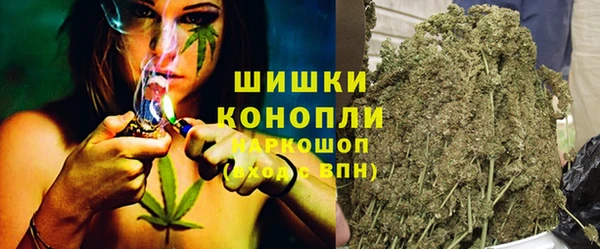 ПСИЛОЦИБИНОВЫЕ ГРИБЫ Баксан