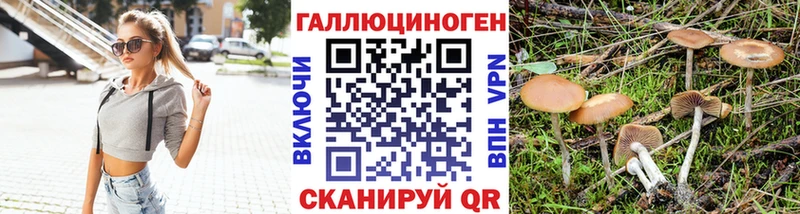 Галлюциногенные грибы мицелий  Гаврилов-Ям 